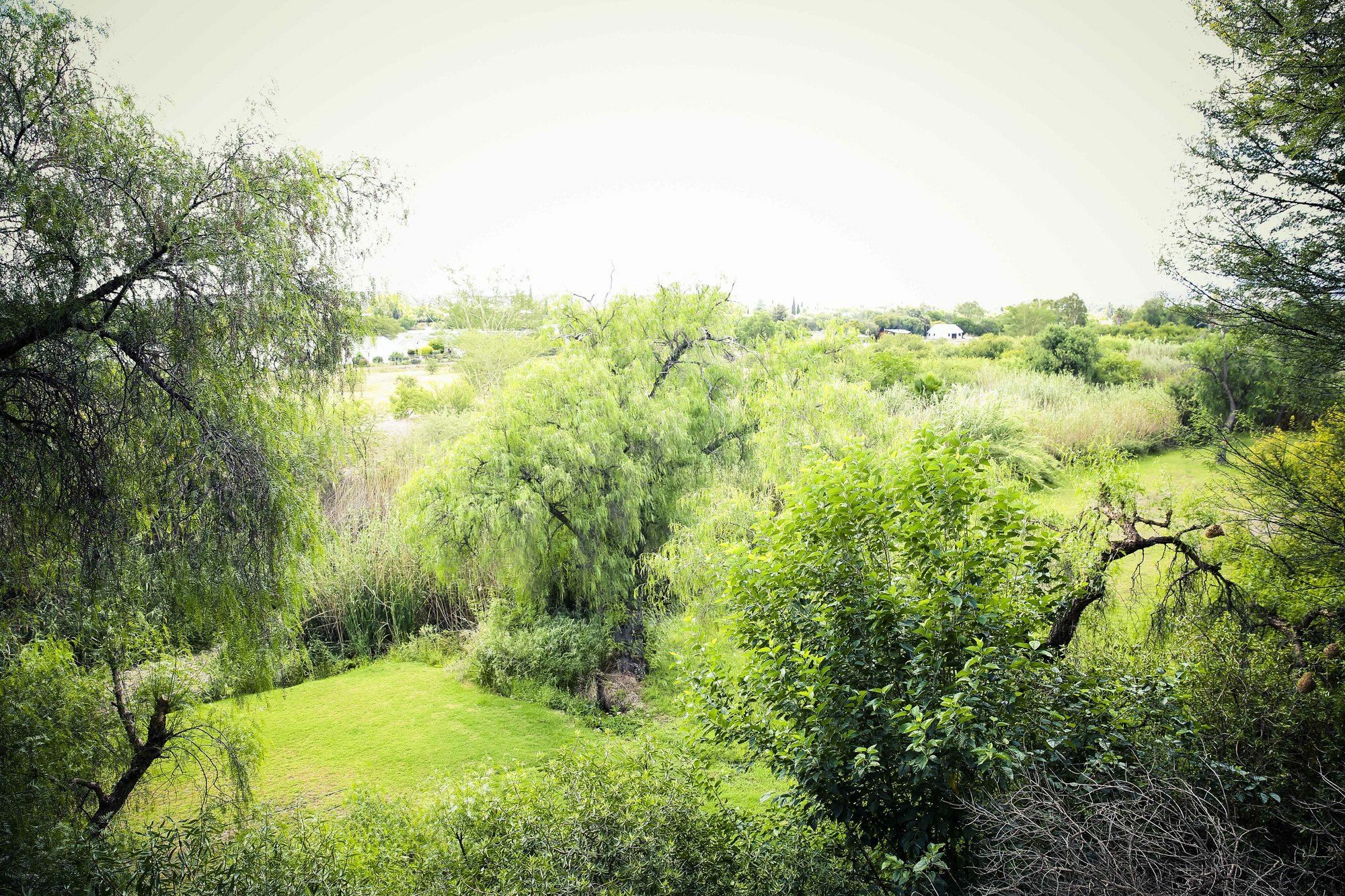 Riverside Guest Lodge Oudtshoorn Exteriör bild